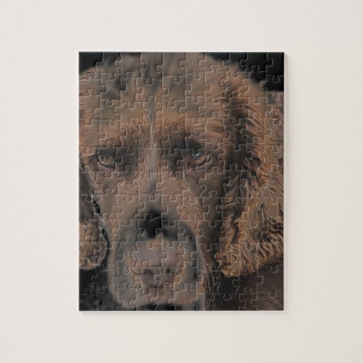 Engelse Springer Dogs Legpuzzel (Verticaal)