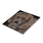 Engelse Springer Dogs Tegeltje (Zijkant)