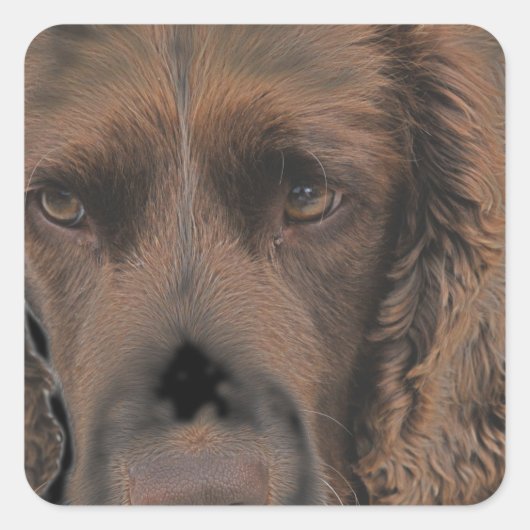 Engelse Springer Dogs Vierkante Sticker (Voorkant)