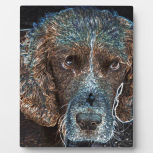 Engelse Springer Fotoplaat