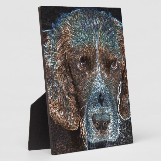 Engelse Springer Fotoplaat (Zijkant)