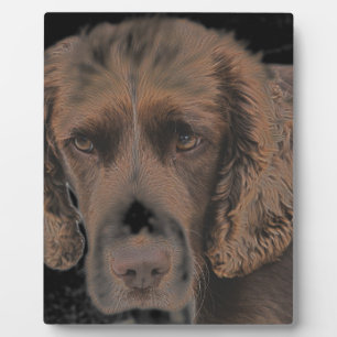 Engelse Springer Honden Fotoplaat