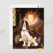 Engelse Springer (Liv) - Queen Briefkaart (Voorkant / Achterkant)