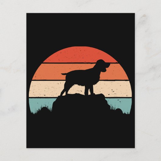 Engelse springer spaniel (Voorkant)