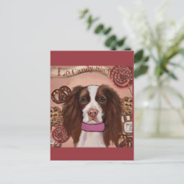 Engelse Springer Spaniel Briefkaart