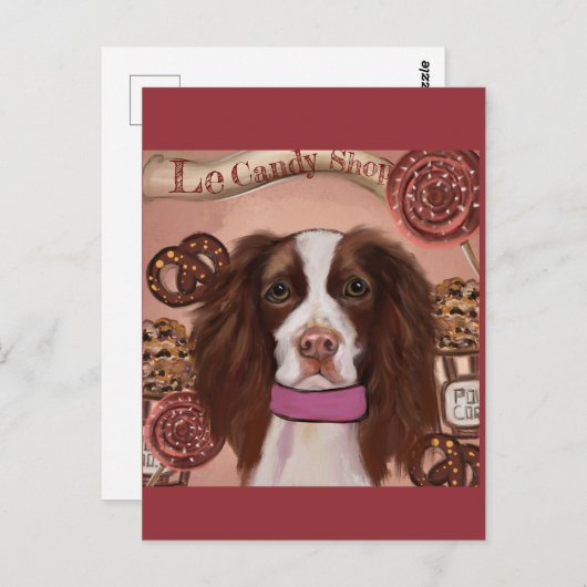 Engelse Springer Spaniel Briefkaart (Voorkant / Achterkant)