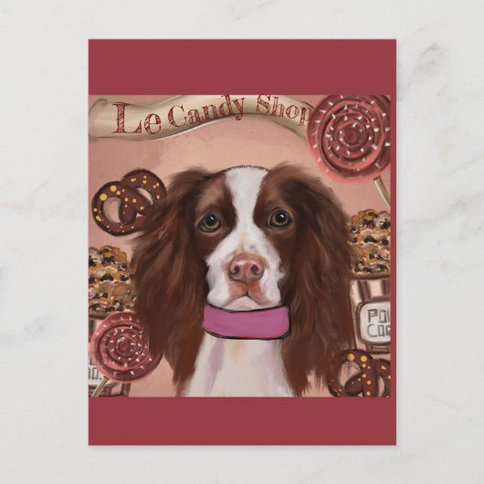 Engelse Springer Spaniel Briefkaart (Voorkant)