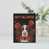 Engelse Springer Spaniel Briefkaart (Staand voorkant)