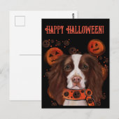 Engelse Springer Spaniel Briefkaart (Voorkant / Achterkant)