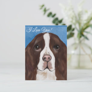 ENGELSE SPRINGER SPANIEL BRIEFKAART