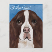 ENGELSE SPRINGER SPANIEL BRIEFKAART (Voorkant)