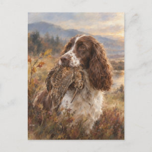Engelse Springer Spaniel Briefkaart