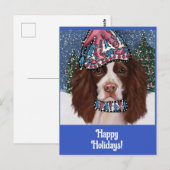 ENGELSE SPRINGER SPANIEL        BRIEFKAART (Voorkant / Achterkant)