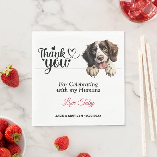 Engelse Springer Spaniel Bruiloft Dank u Servet (Insitu)