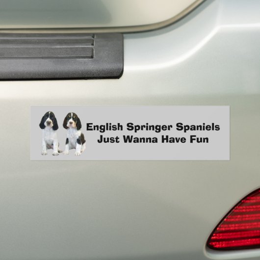 Engelse Springer Spaniel Bumpersticker (Op auto)