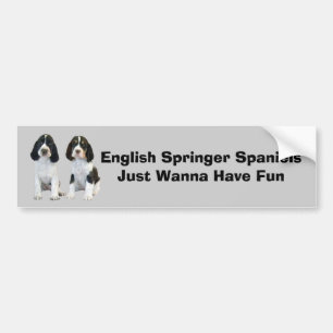 Engelse Springer Spaniel Bumpersticker