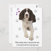 Engelse Springer Spaniel Dog Briefkaart (Voorkant / Achterkant)