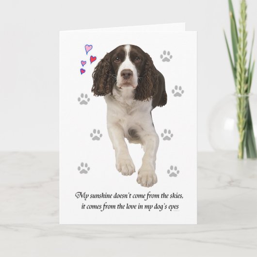 Engelse Springer Spaniel Dog Kaart (Voorkant)