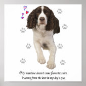 Engelse Springer Spaniel Dog Poster (Voorkant)
