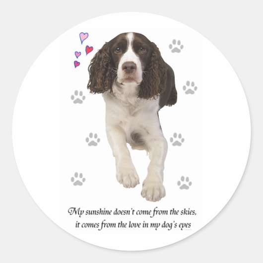 Engelse Springer Spaniel Dog Ronde Sticker (Voorkant)