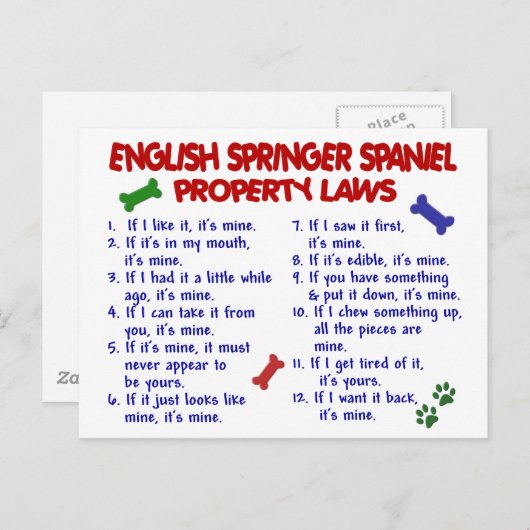 ENGELSE SPRINGER SPANIEL Eigendomwetten 2 Briefkaart (Voorkant / Achterkant)