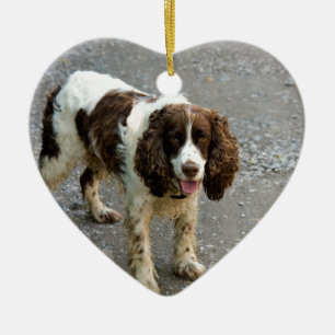 engelse springer spaniel full.png keramisch ornament