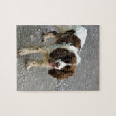 engelse springer spaniel full.png legpuzzel (Horizontaal)