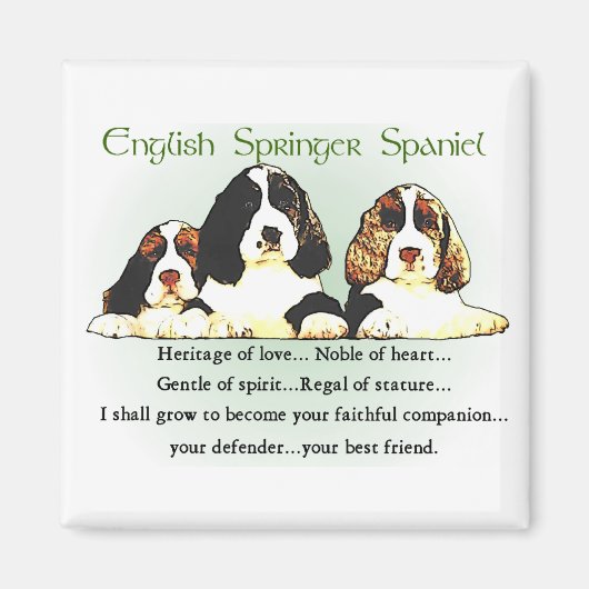 Engelse Springer Spaniel Gifts Magneet (Voorkant)