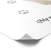 Engelse Springer Spaniel Hond Poster (Hoek)