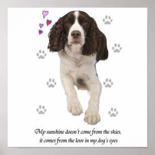 Engelse Springer Spaniel Hond Poster