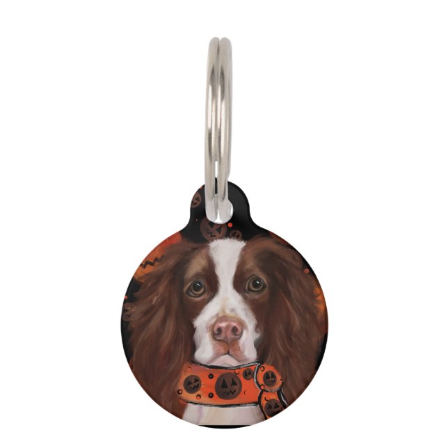 Engelse Springer Spaniel        Huisdierpenning (Voorkant)