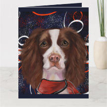 ENGELSE SPRINGER SPANIEL