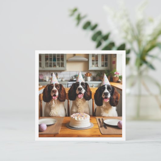 Engelse Springer Spaniel kaart, Spaniel verjaardag Kaart (Staand voorkant)