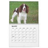 Engelse Springer Spaniel Kalender (Mar 2027)