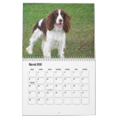 Engelse Springer Spaniel Kalender (Mar 2026)