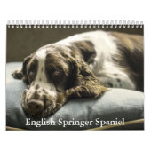 Engelse Springer Spaniel Kalender (Hoes)