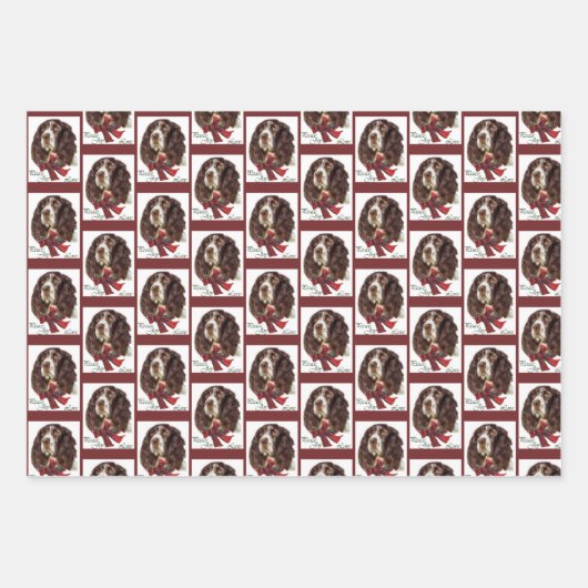 Engelse Springer Spaniel Kerstmis Inpakpapier Vel (Voorkant 3)