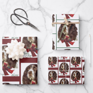 Engelse Springer Spaniel Kerstmis Inpakpapier Vel