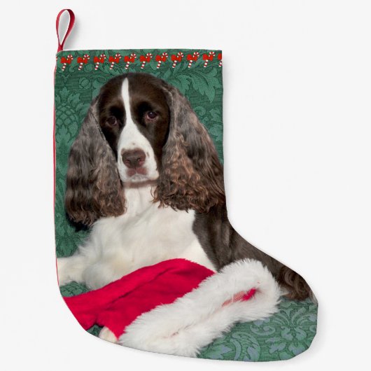 Engelse Springer Spaniel kerststaart Kleine Kerstsok (Voorkant)