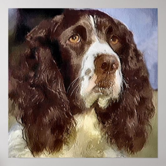 Engelse Springer Spaniel Kunst Cadeaus Poster (Voorkant)
