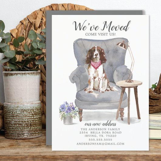 Engelse Springer Spaniel Moving Announement Aankondiging