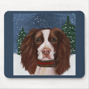 ENGELSE SPRINGER SPANIEL MUISMAT