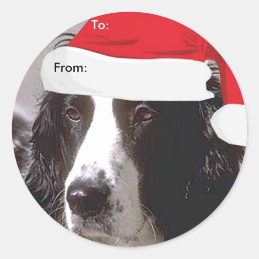 Engelse Springer Spaniël naar/van Xmas stickers (Voorkant)