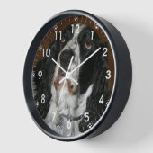 Engelse Springer Spaniel Pet Foto (Hoek)