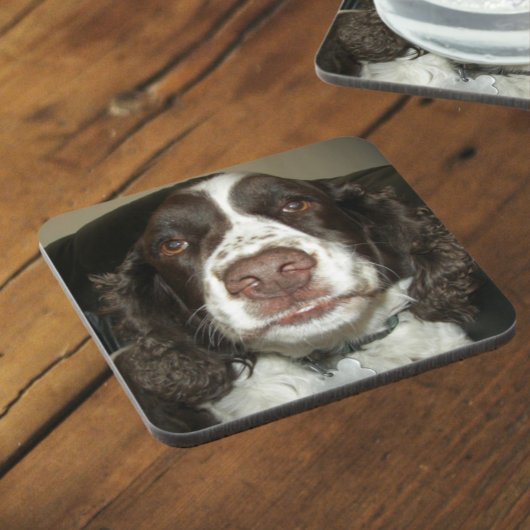 Engelse Springer Spaniel Pet Foto Bier Onderzetter