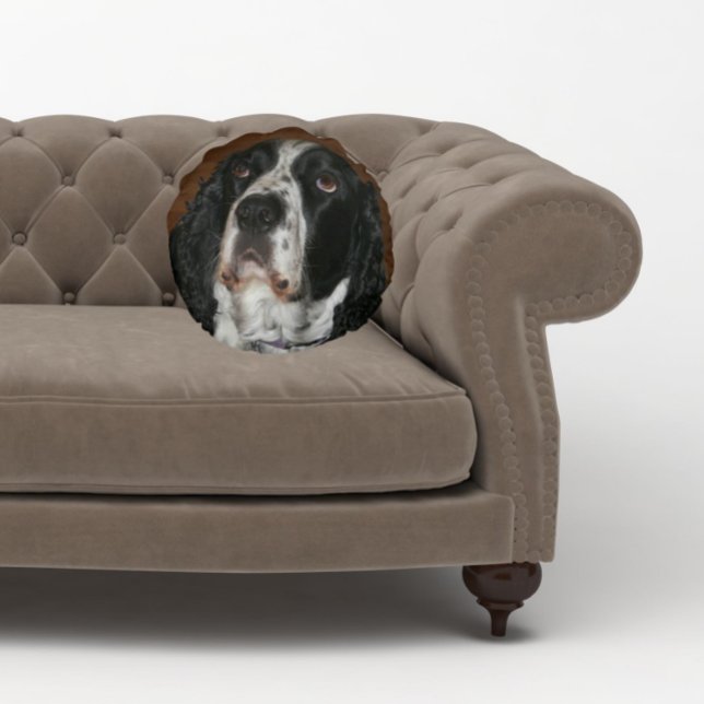 Engelse Springer Spaniel Pet Foto Rond Kussen (In Situ Sofa)