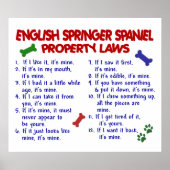 ENGELSE SPRINGER SPANIEL PL2 POSTER (Voorkant)