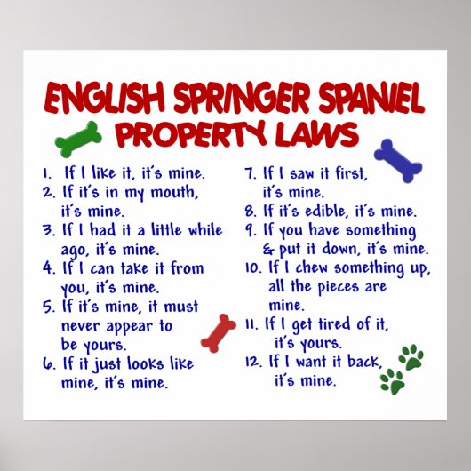 ENGELSE SPRINGER SPANIEL PL2 POSTER (Voorkant)