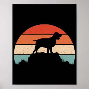 Engelse springer spaniel poster