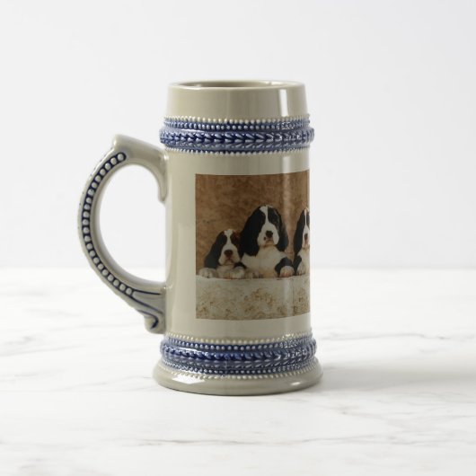 Engelse Springer Spaniel-Puppies Bierpul (Links)